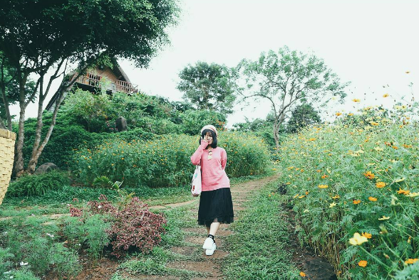 Ko Tam