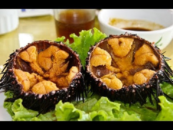 Nhum biển