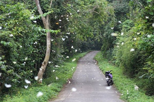 địa điểm du lịch Ninh Bình