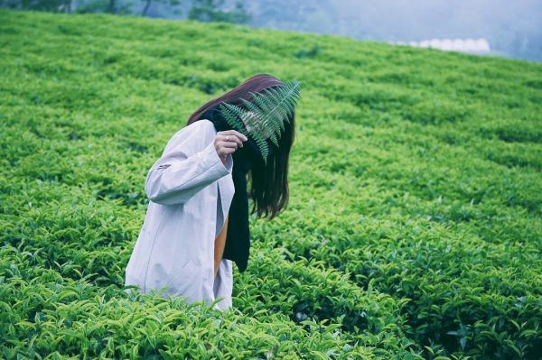 Tháng 10 nên du lịch ở đâu