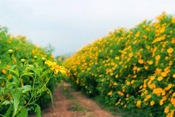 Tháng 10 nên du lịch ở đâu
