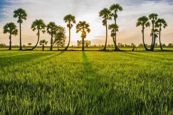 Địa điểm du lịch An Giang