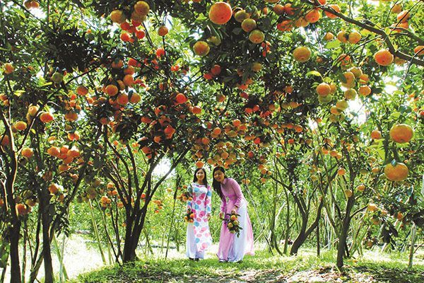 địa điểm du lịch Đồng Nai