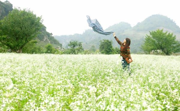 Tháng 11 nên du lịch ở đâu