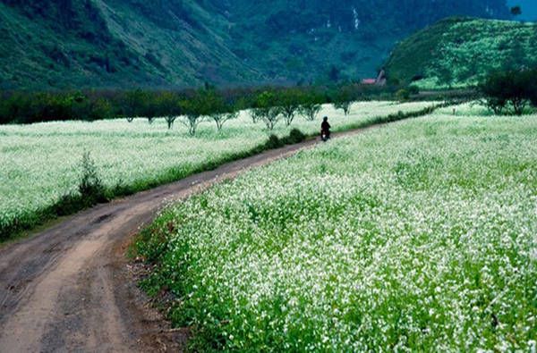 Tháng 11 nên du lịch ở đâu
