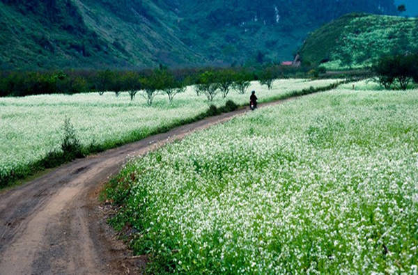 Tháng 11 nên du lịch ở đâu vừa rẻ vừa đẹp?