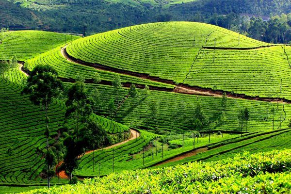 Tháng 7 nên du lịch ở đâu