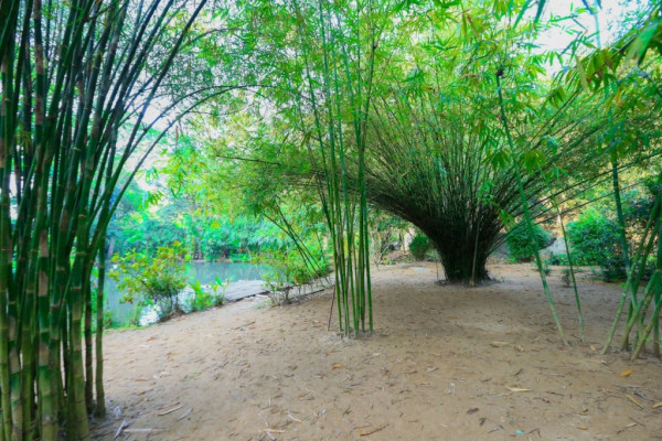 Đi Đà Nẵng cần bao nhiêu tiền 2