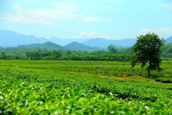 địa điểm du lịch gần Đà Nẵng