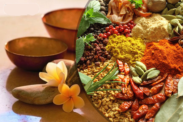 Thảo dược là món quà ý nghĩa dành tặng người thân