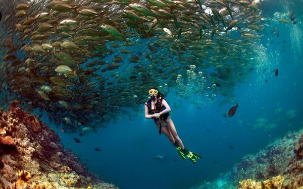 Du lịch đảo Sipadan – Thiên đường lặn biển ở Malaysia