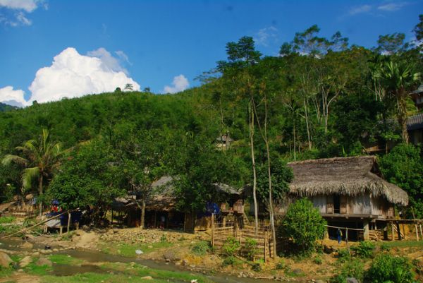 Bản Bàng nép mình trong rừng trúc ở Thanh Hóa
