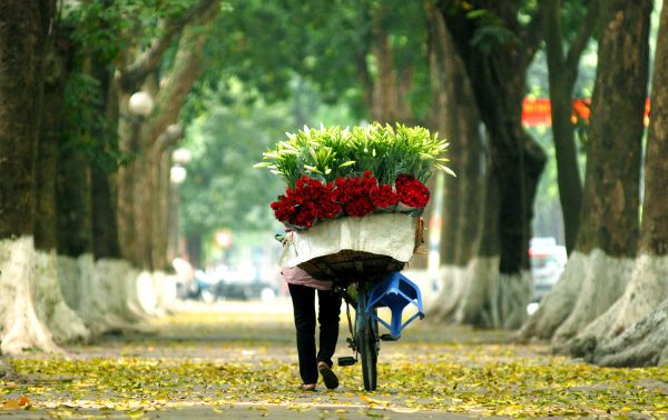 Hà Nội mùa thu