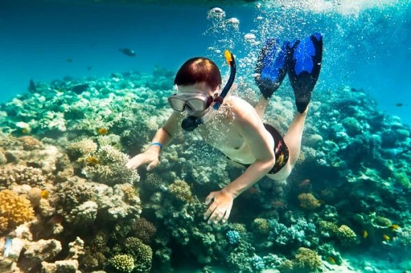 Lặn biển tại Hòn Bảy Cạnh