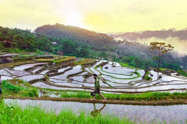 Khu bảo tồn thiên nhiên Pù Luông luôn thu hút đông đảo khách du lịch