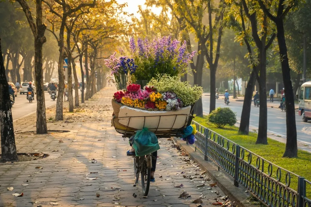 Cập nhật thông tin vé máy bay Vinh Hà Nội mới nhất