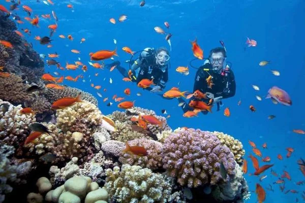 Lặn biển khám phá đại dương tại Hòn Mun