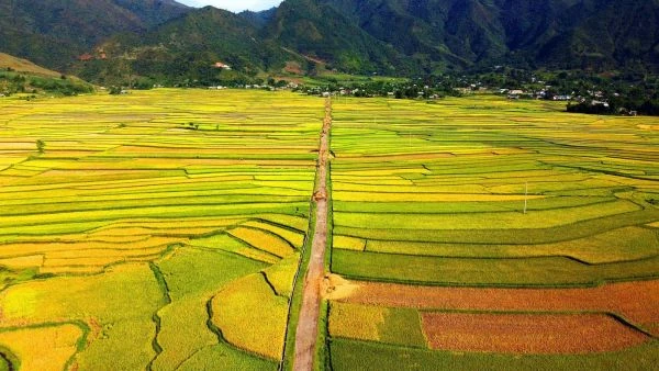 Cánh đồng Mường Than như một lòng chảo được bao bọc bởi những dãy núi trùng điệp