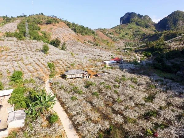 Khung cảnh thơ mộng ở bản Chiềng Cọ - Sơn La