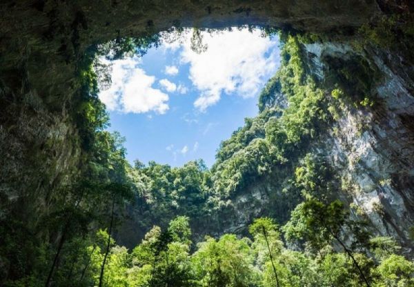 Khu rừng nguyên sinh thảm thực vật, động vật, côn trùng phong phú