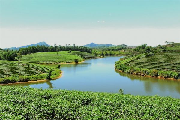 Vé máy bay Nha Trang Vinh khám phá xứ Nghệ