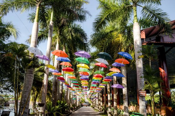 Đặt vé máy bay Đà Lạt Cần Thơ thăm Làng du lịch Mỹ Khánh
