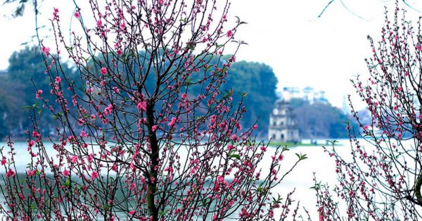 Du lịch Hà Nội tháng 2 đi đâu chơi, ăn đặc sản gì ngon?