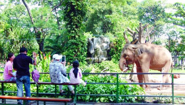 Thiên nhiên hoang dã trong Thảo Cầm Viên Sài Gòn