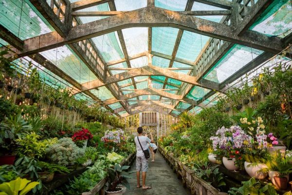 Thảo Cầm Viên - Chốn bình yên giữa lòng Sài Gòn