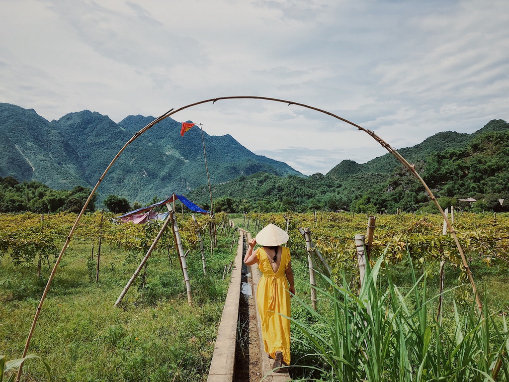 Du lịch Mai Châu