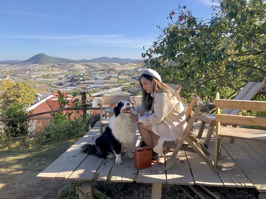 Quán cafe đẹp ở Đà Lạt