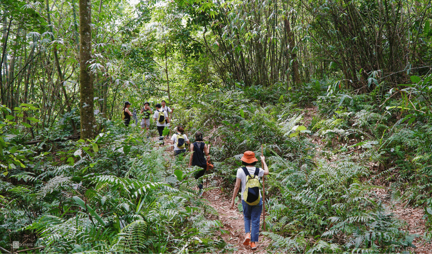 Địa điểm trekking ở Việt Nam