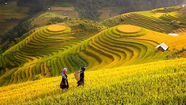 Du lịch Điện Biên