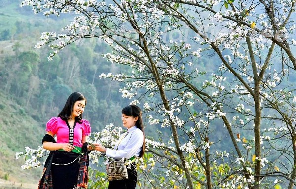 Du lịch Điện Biên
