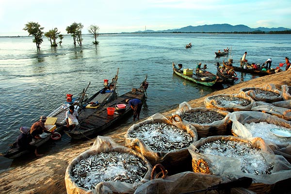 Những thứ đặc sản dân dã mùa nước nổi
