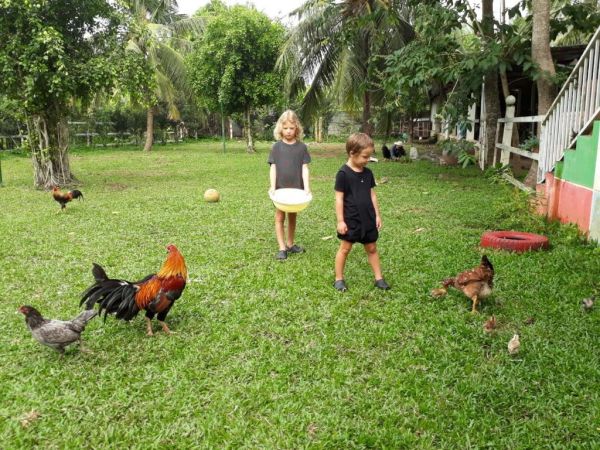 Các bé sẽ được trải nghiệm thực tế tại Happy Farm Tien Giang