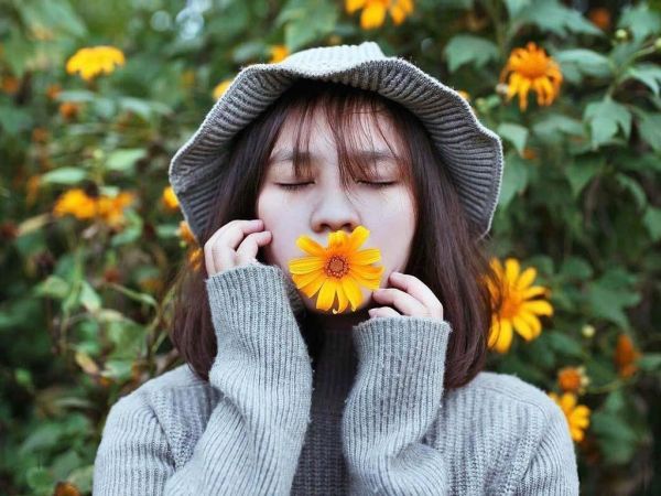 Ngất ngây trước sắc hoa dã quỳ của núi rừng Tây Nguyên