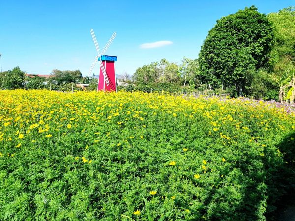 Vườn hoa tại Mini Farm