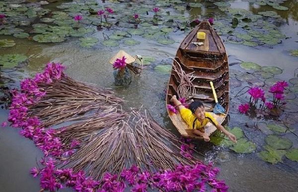 Du lịch miền Tây mùa nước nổi