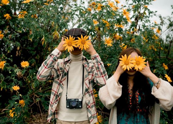 Săn mùa hoa dã quỳ Đà Lạt lãng mạn và khó quên