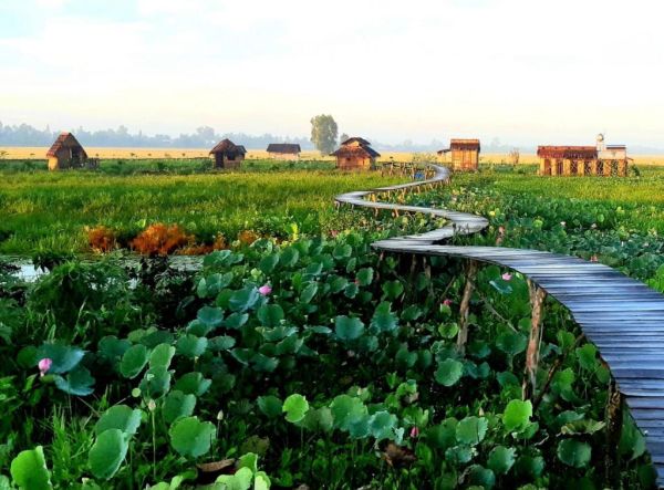 Khu du lịch Farmstay ở Việt Nam