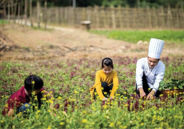 Trải nghiệm một ngày thú vị ở Farmstay