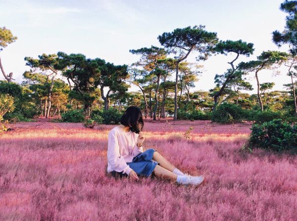 Đồi cỏ hồng