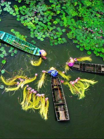 Vẻ đẹp thơ mộng của miền quê sông nước
