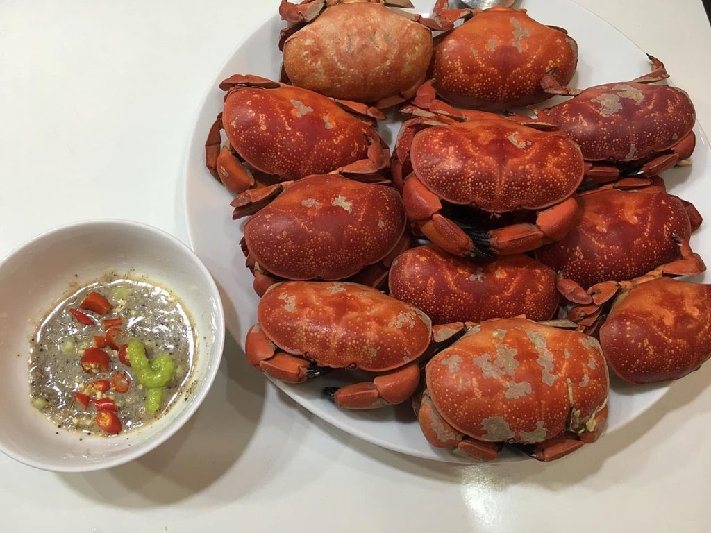 Cù kỳ Móng Cái, Quảng Ninh
