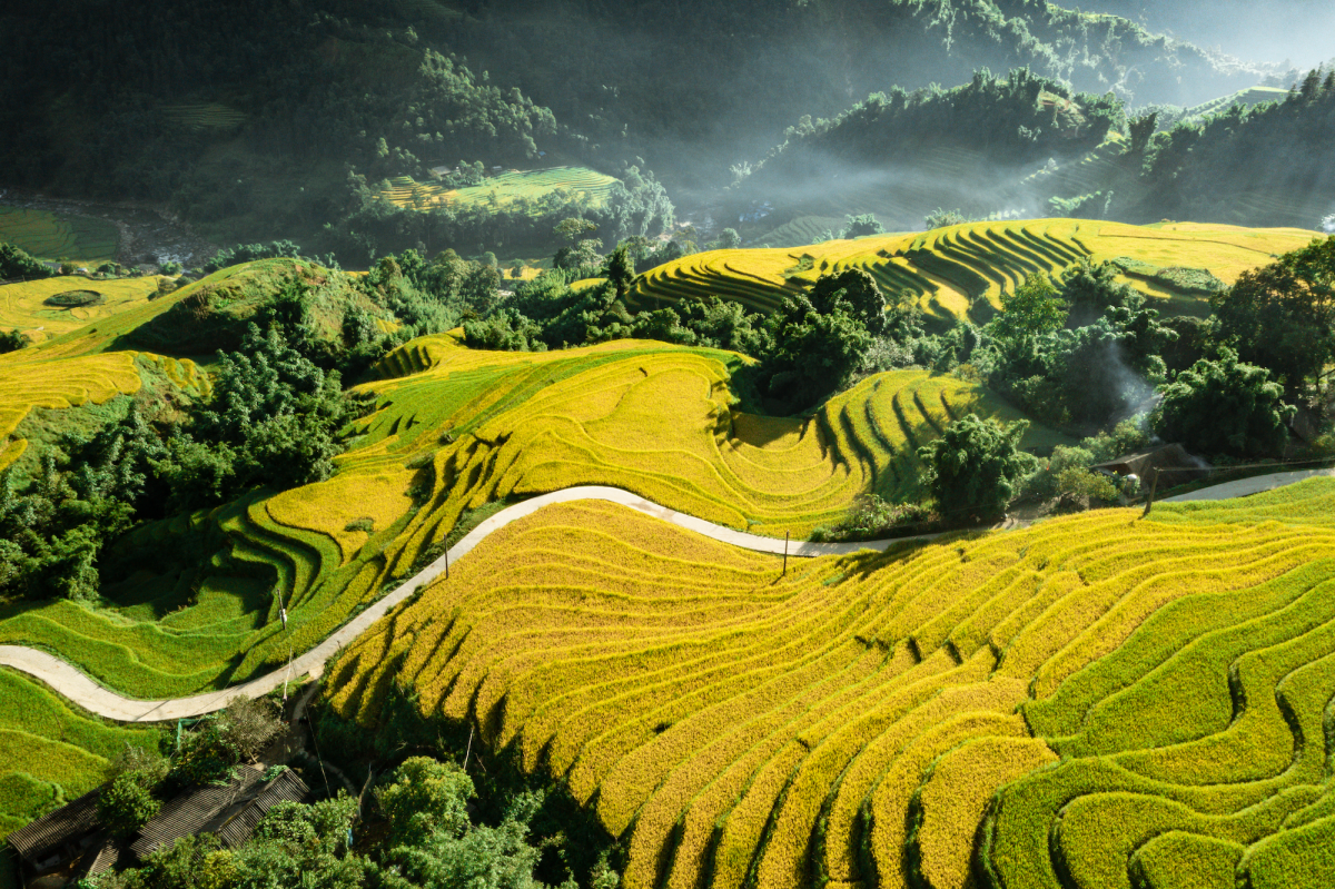 Chiêm ngưỡng những thửa ruộng bậc thang trùng trùng điệp điệp