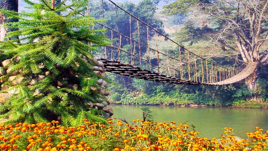 Cây cầu dây bắc qua dòng suối Mường Hoa Sapa