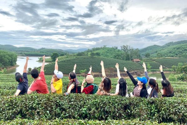 Bỏ túi một số lưu ý khi tham quan đồi chè