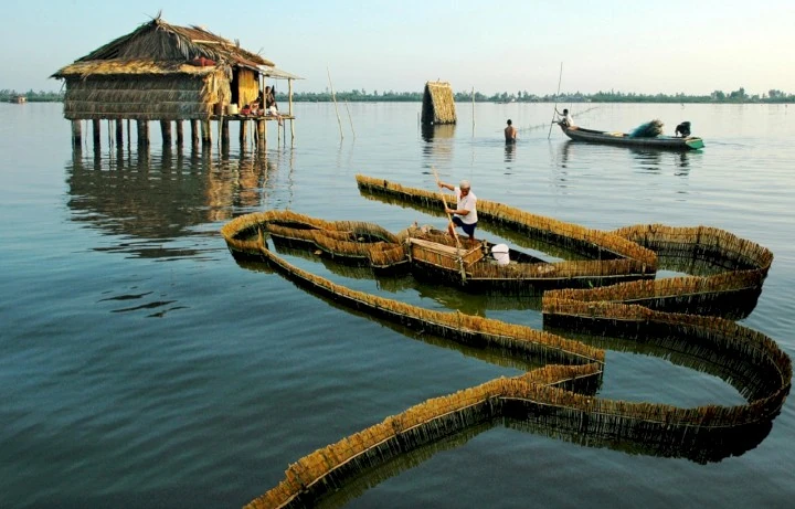Ngắm nhìn vẻ đẹp hoang sơ, thanh bình của Đầm Thị Tường