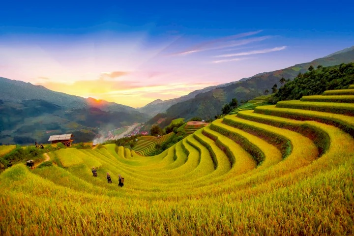 Chiêm ngưỡng vẻ đẹp yên bình, thơ mộng của ruộng bậc thang Mù Cang Chải